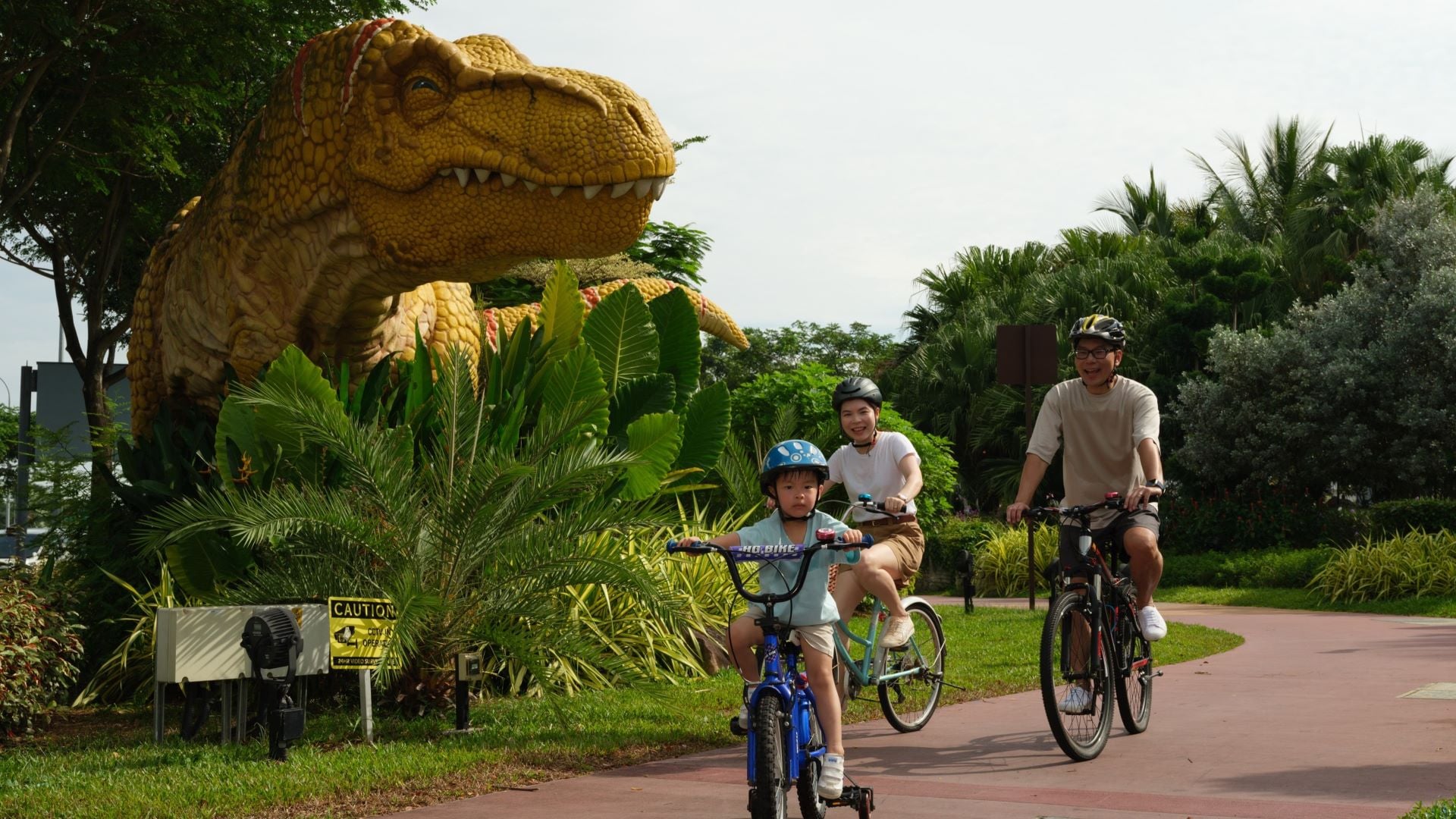 Airlines News - Changi offers transit passengers free bicycle rentals