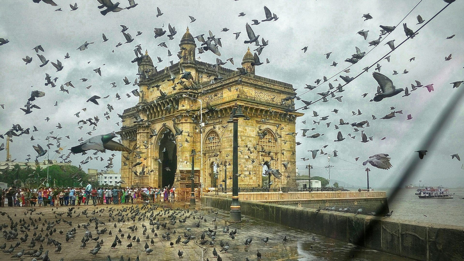 Hundreds of birds and people standing beside a large golden building.
