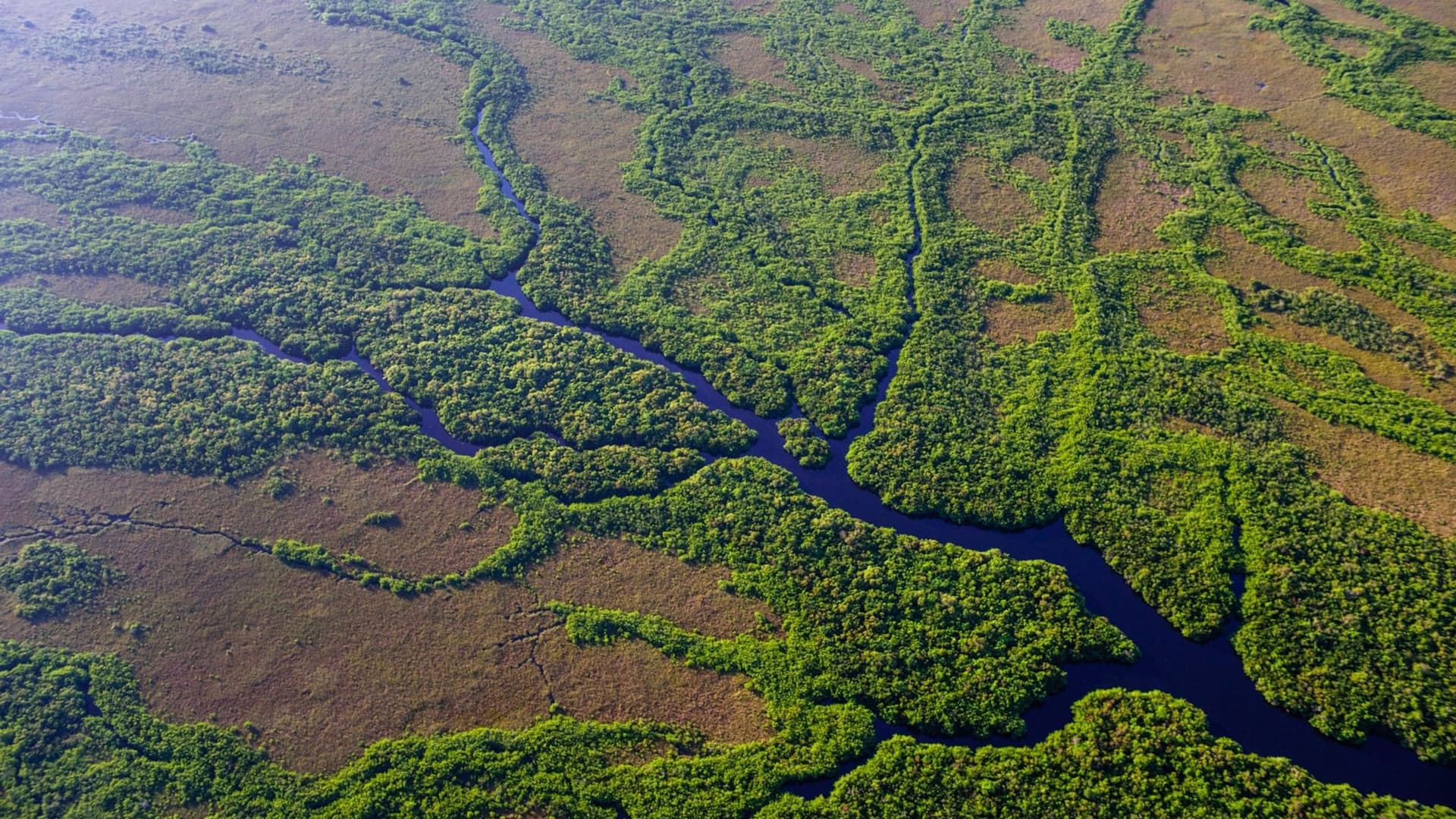 Destinations Articles - Miami Travel Guide