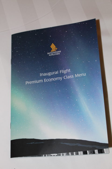 Stockholm to Singapore in Premium Economy with Singapore Airlines - 6