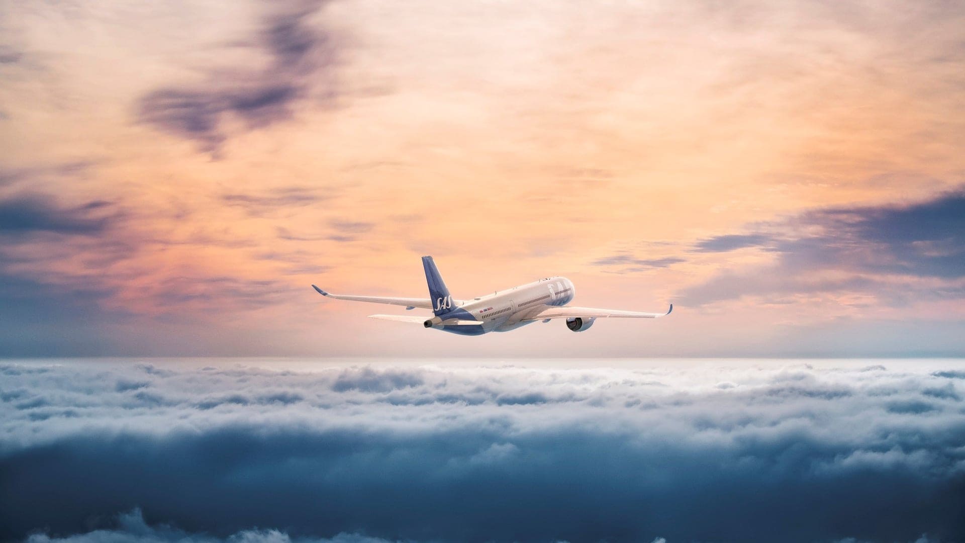 Airlines News - SAS looks to added comfort and boutique Champagne – an interview with its CEO, Anko Van der Werff