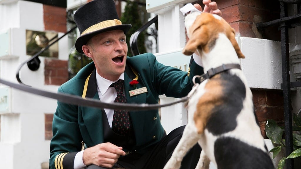Top 10: Dog-Friendly 5-Star Hotels in the UK
