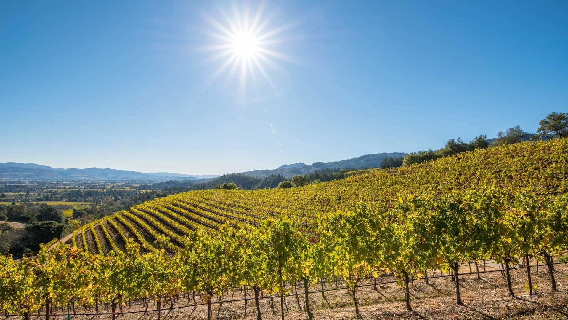 Hotel review Location' - Auberge du Soleil, An Auberge Resort - 2