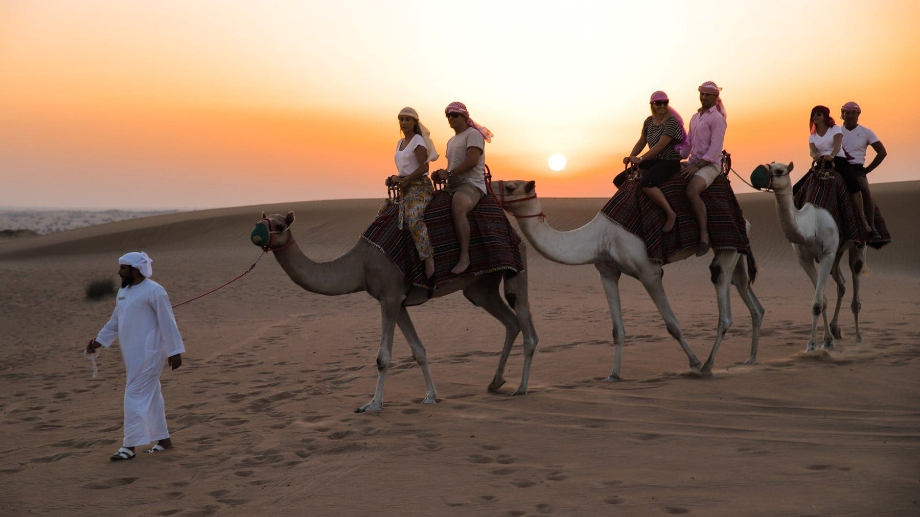 Destinations Toplists - 9 Best Desert Safaris in Dubai