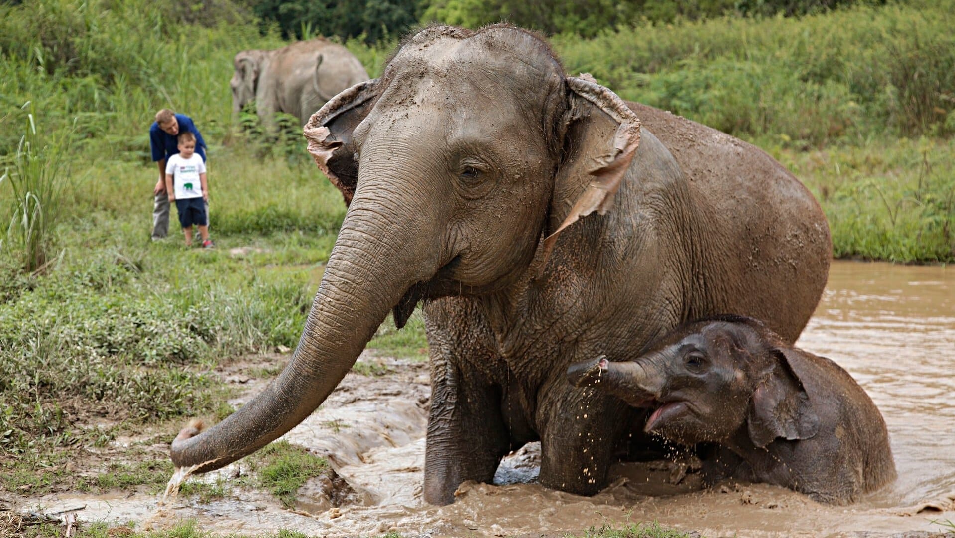 Anantara offers a unique virtual educational field trip