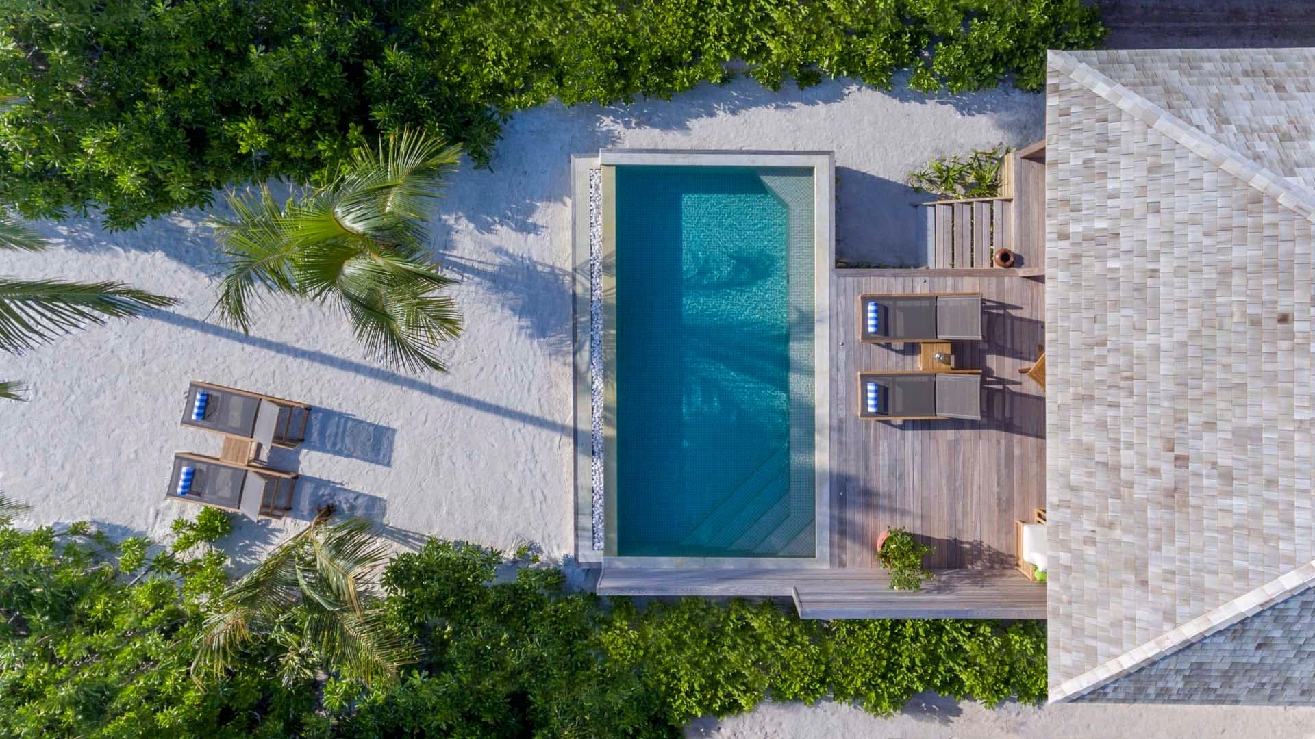 Bird view of pool, sunbeds, palmtrees, and suite at Hurawalhi Island Resort.