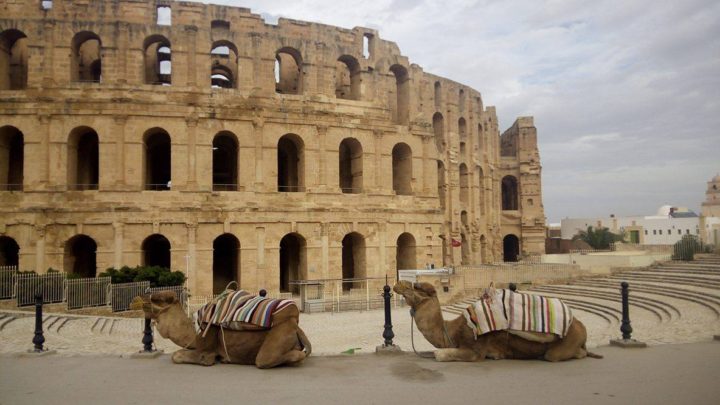 Why you should visit Tunisia this summer - the forgotten home of great olive oil, wine and sea-water spas - Resurgence