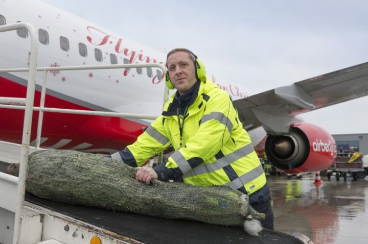 Flyv med Air Berlin til jul og tag juletræet gratis med - 1