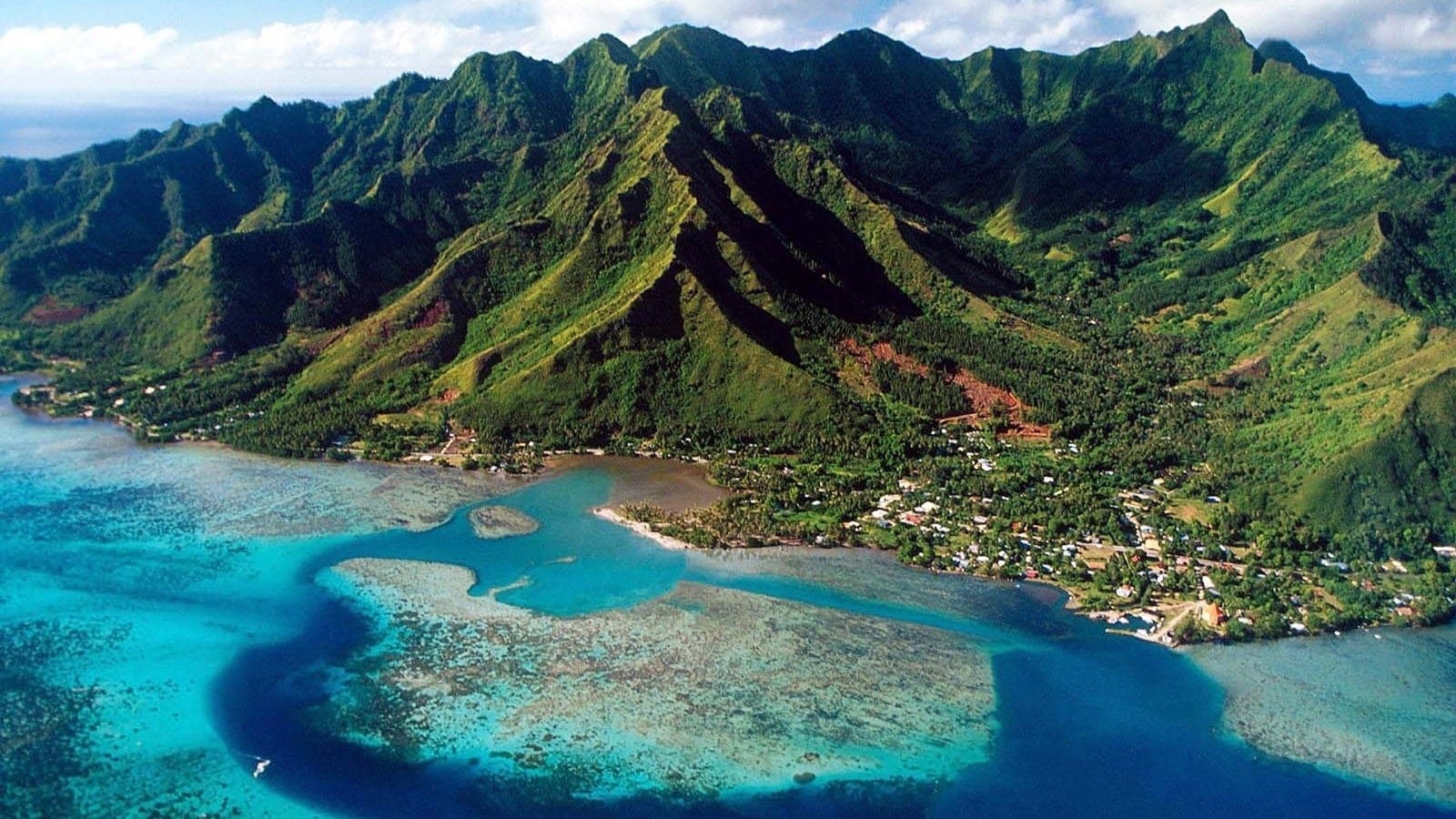 Bird view of Jamaica grass mountains and ocean