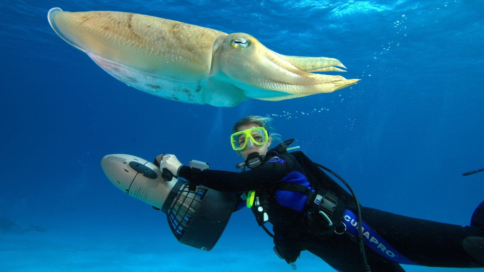 Destinations Articles - Doha Travel Guide