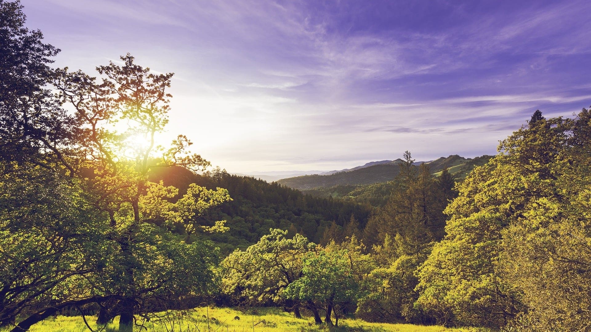 Destinations Articles - California Travel Guide