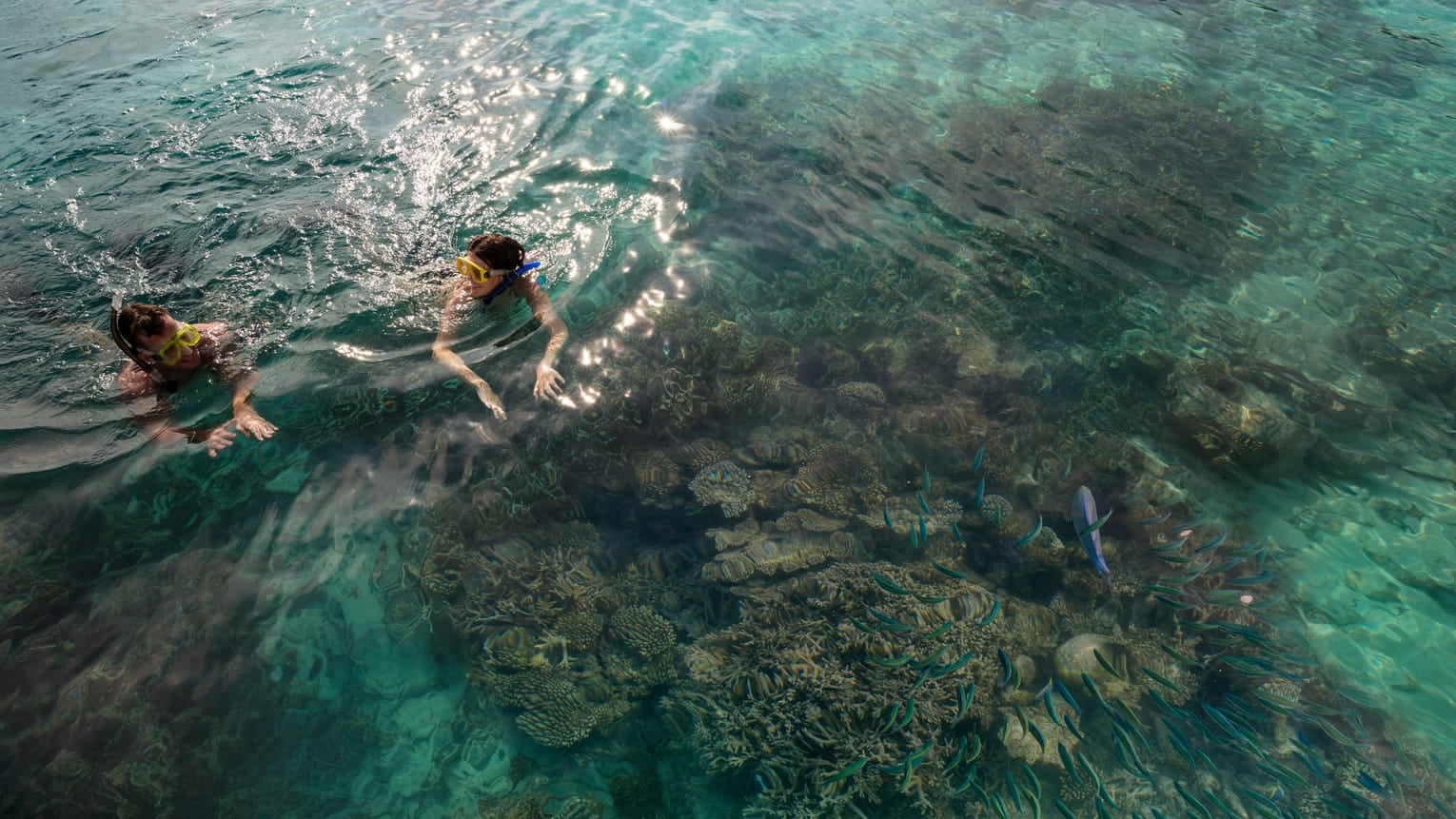 The Best Couples & Honeymoon Resorts in Maldives - Four Seasons Resort Maldives at Landaa Giraavaru - 1