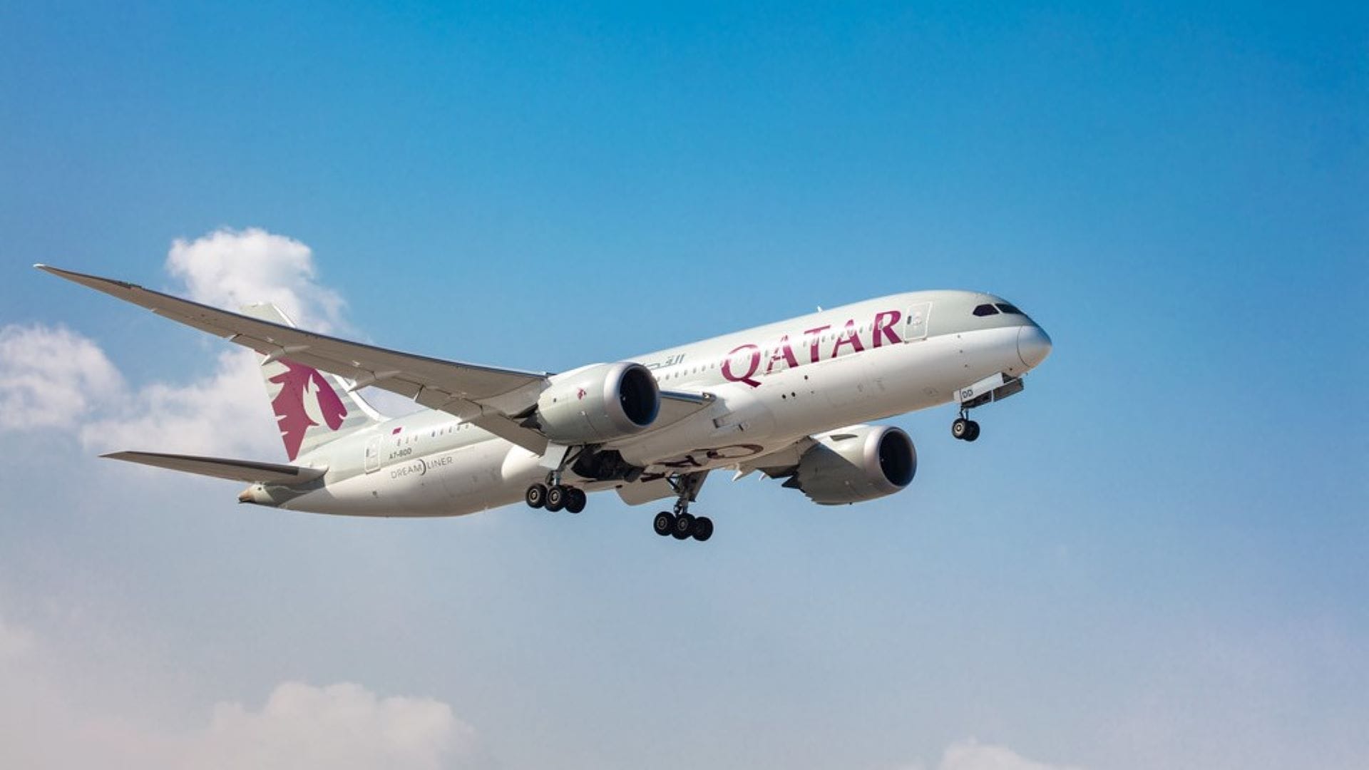 Airlines News - Qatar Airways opens new Frequent Flyer Lounge and premium check-in area at Heathrow