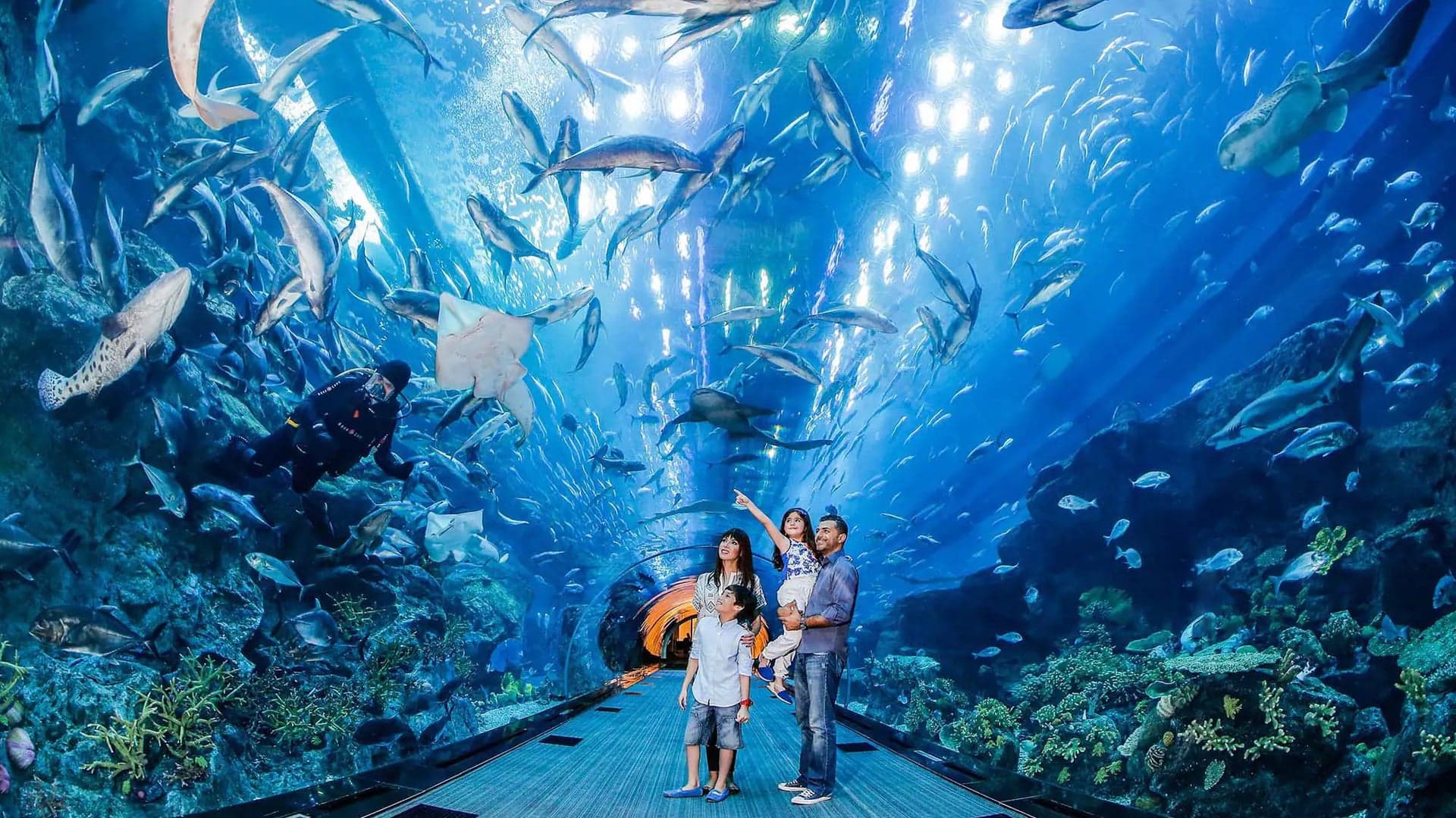 Destinations Toplists - 30 Best Things to See & Do in Dubai