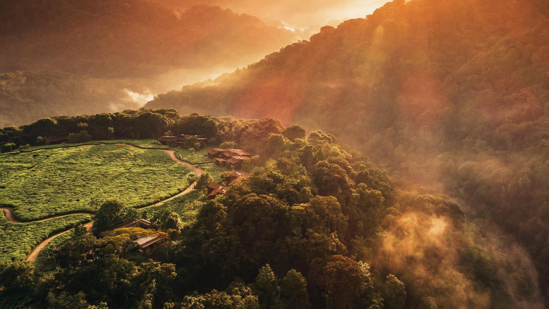 Birdview of woods with camps and trees