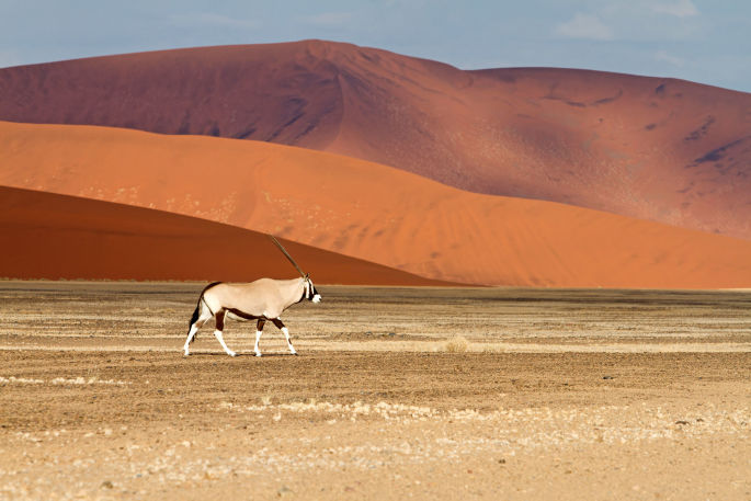 KLM til afrikanske Windhoek