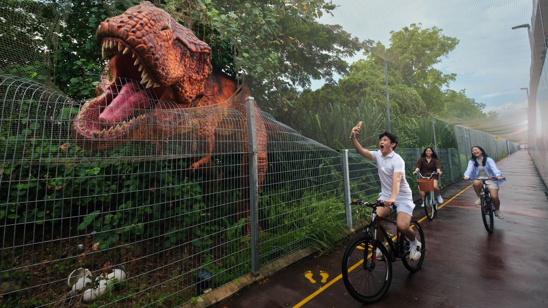 Changi offers transit passengers free bicycle rentals