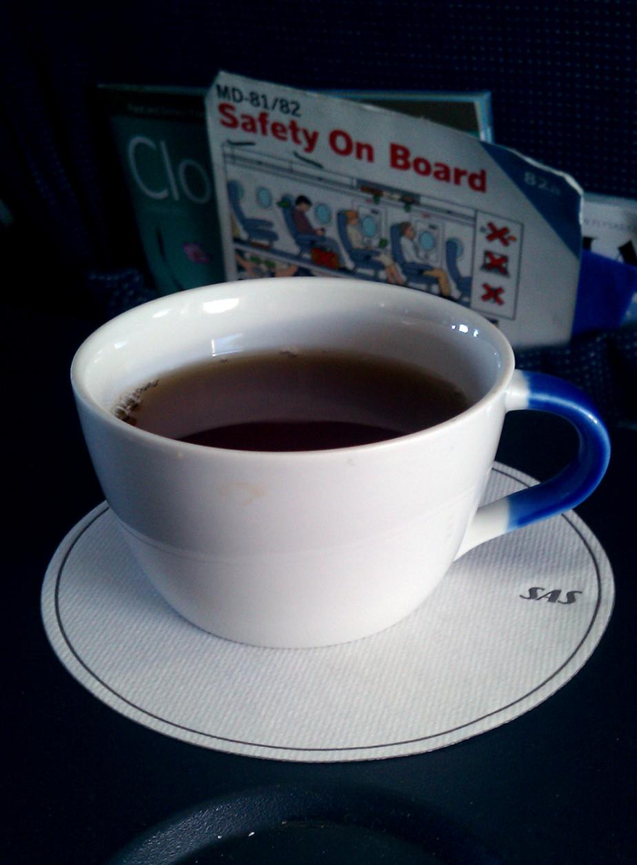 Flyg i Business till Tyskland: SAS mot Lufthansa - 10