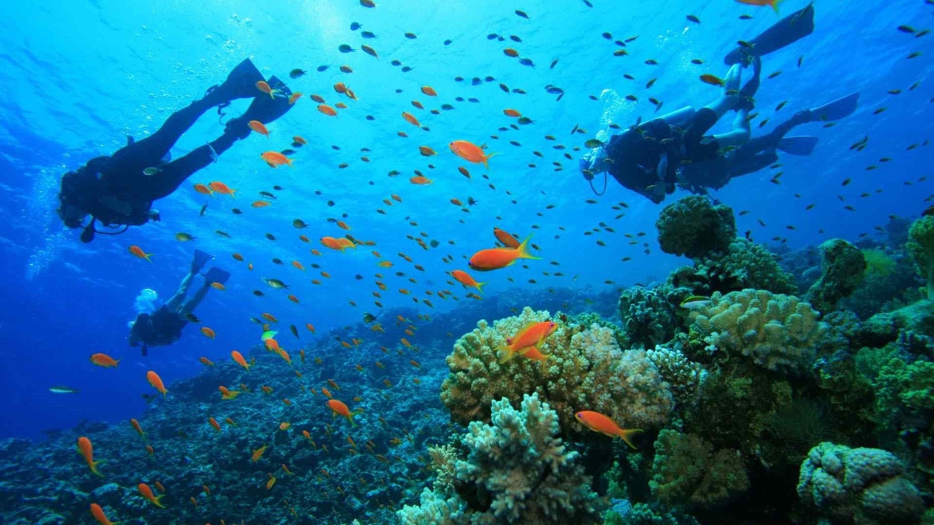 Destinations Articles - Santorini Travel Guide