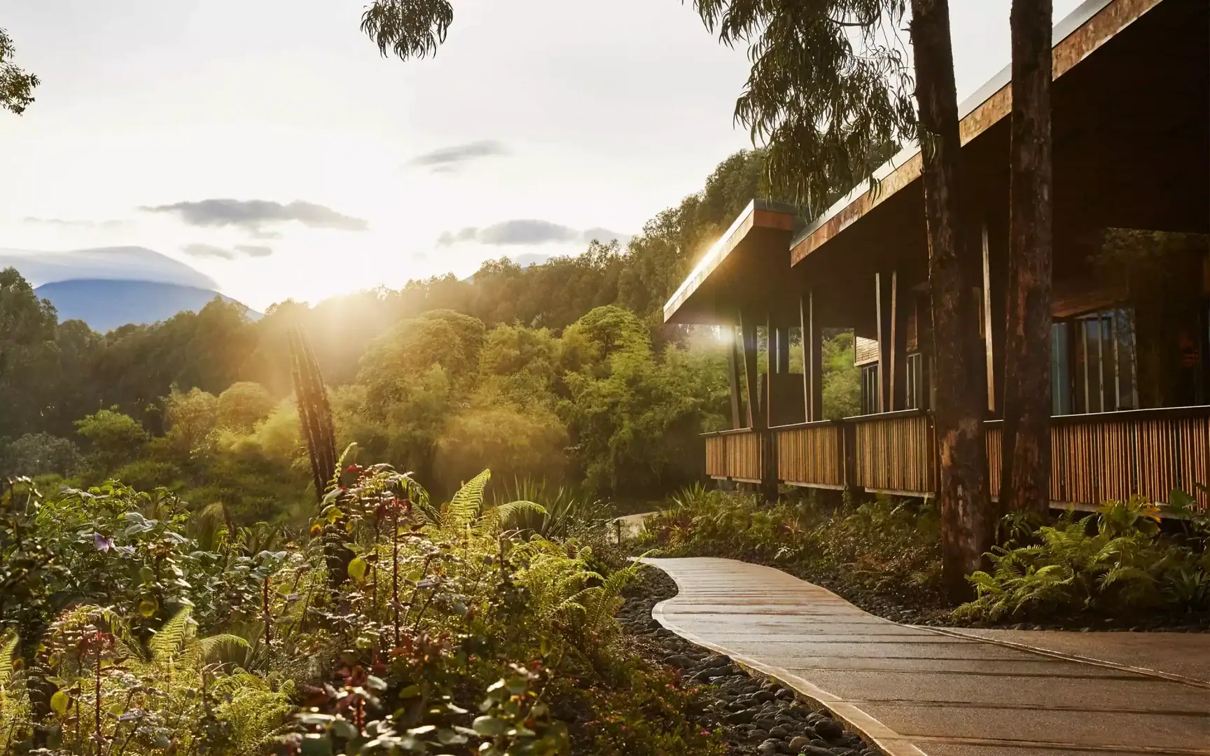 One&Only Gorilla’s Nest