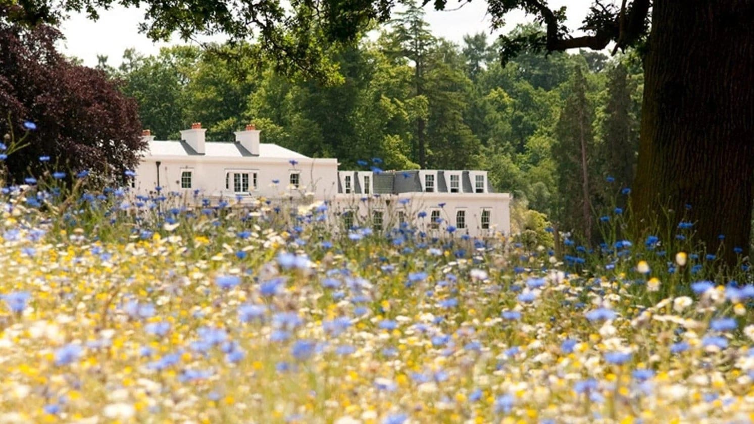 Hotels Toplists - 17 Best Country House Hotels in the UK