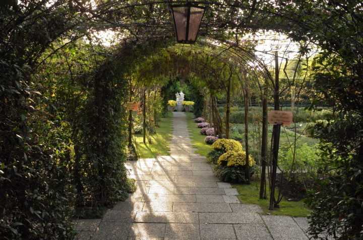 Recension av Belmond Hotel Cipriani - 4