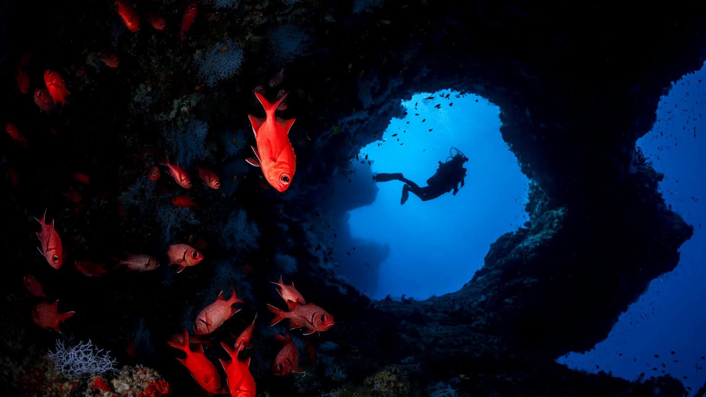 The Best Dive Sites in Maldives - Read the Businessclass review and find the best rates for COMO Cocoa Island - 1