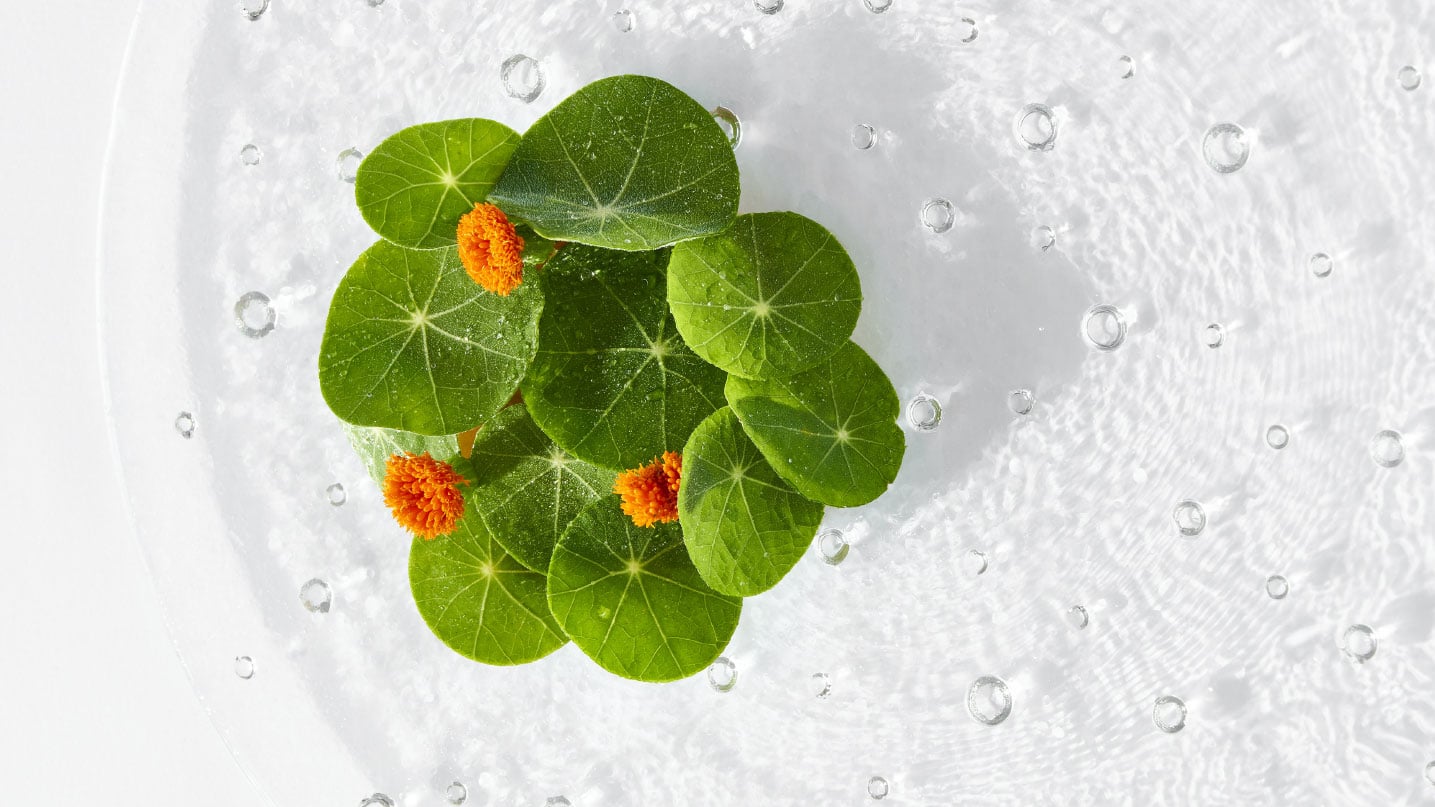 a green plant resturant kei