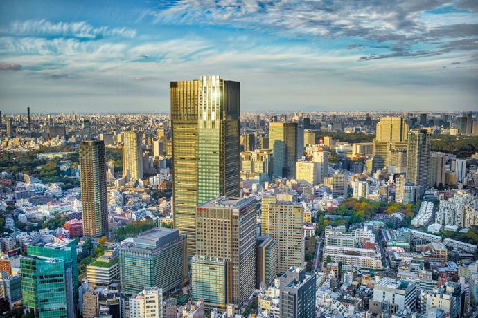 Verified hotel review - The Ritz-Carlton, Tokyo - 25