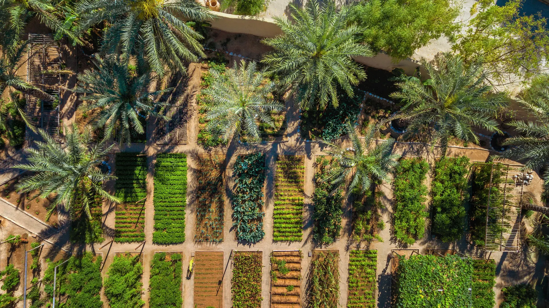 Hotel review Sustainability' - Six Senses Zighy Bay - 2