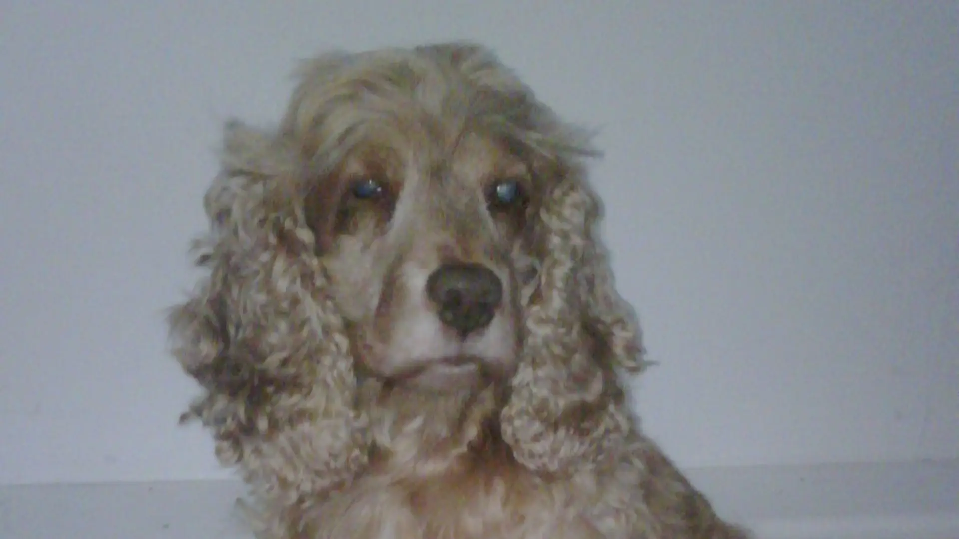 Hotel review What We Love' - The Athenaeum Hotel & Residences - 4