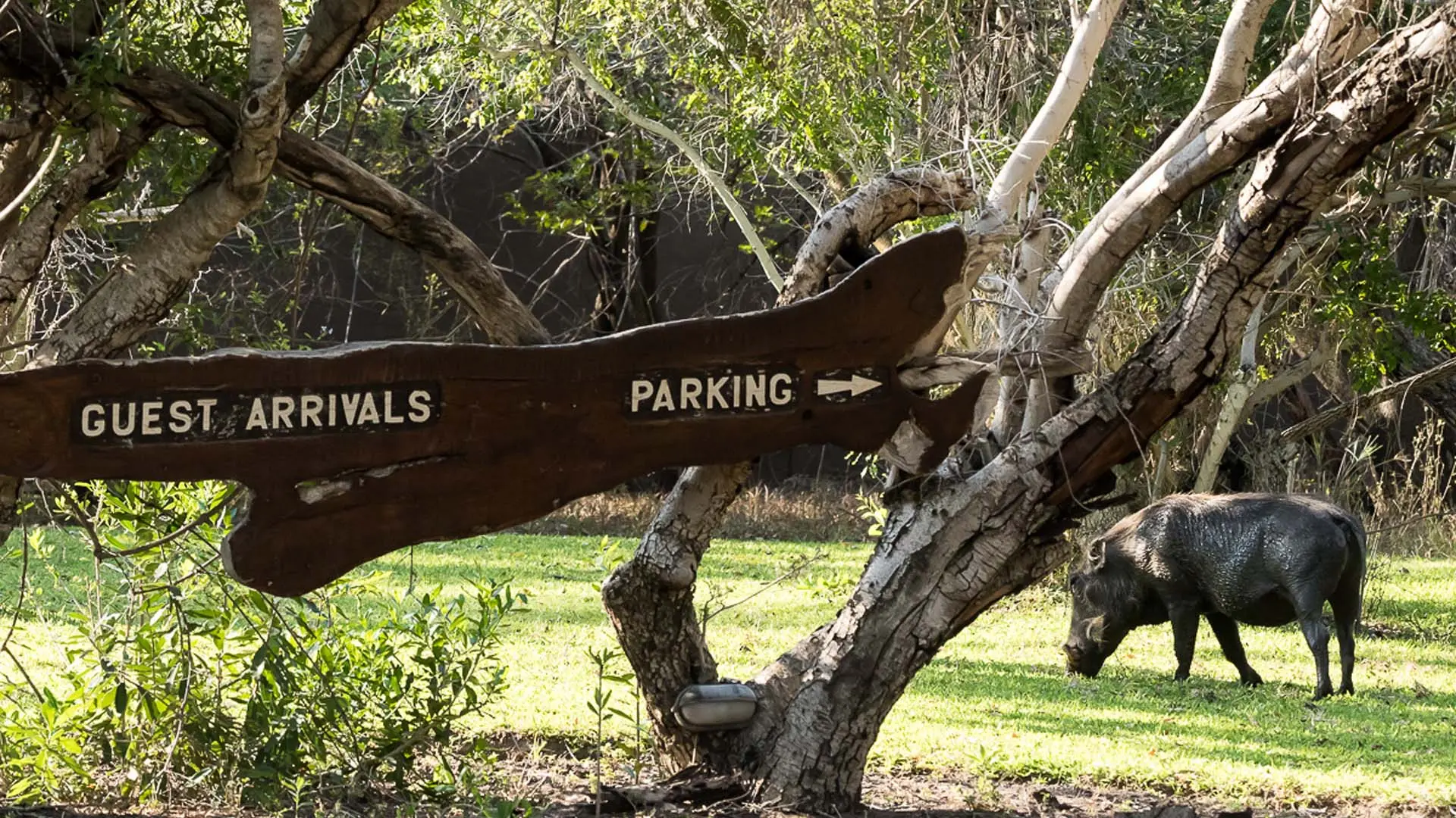 Hotel review Location' - Sabi Sabi Private Game Reserve - 0