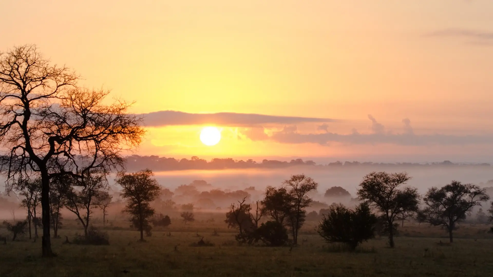 Hotel review Location' - Sabi Sabi Private Game Reserve - 1