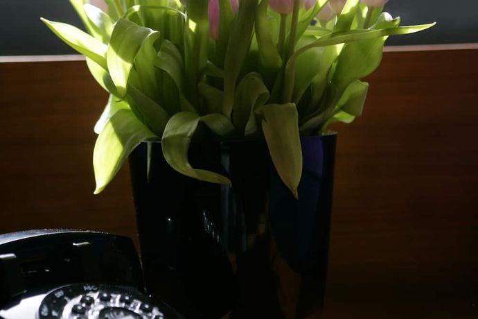 The Fitzwilliam Hotel - 4