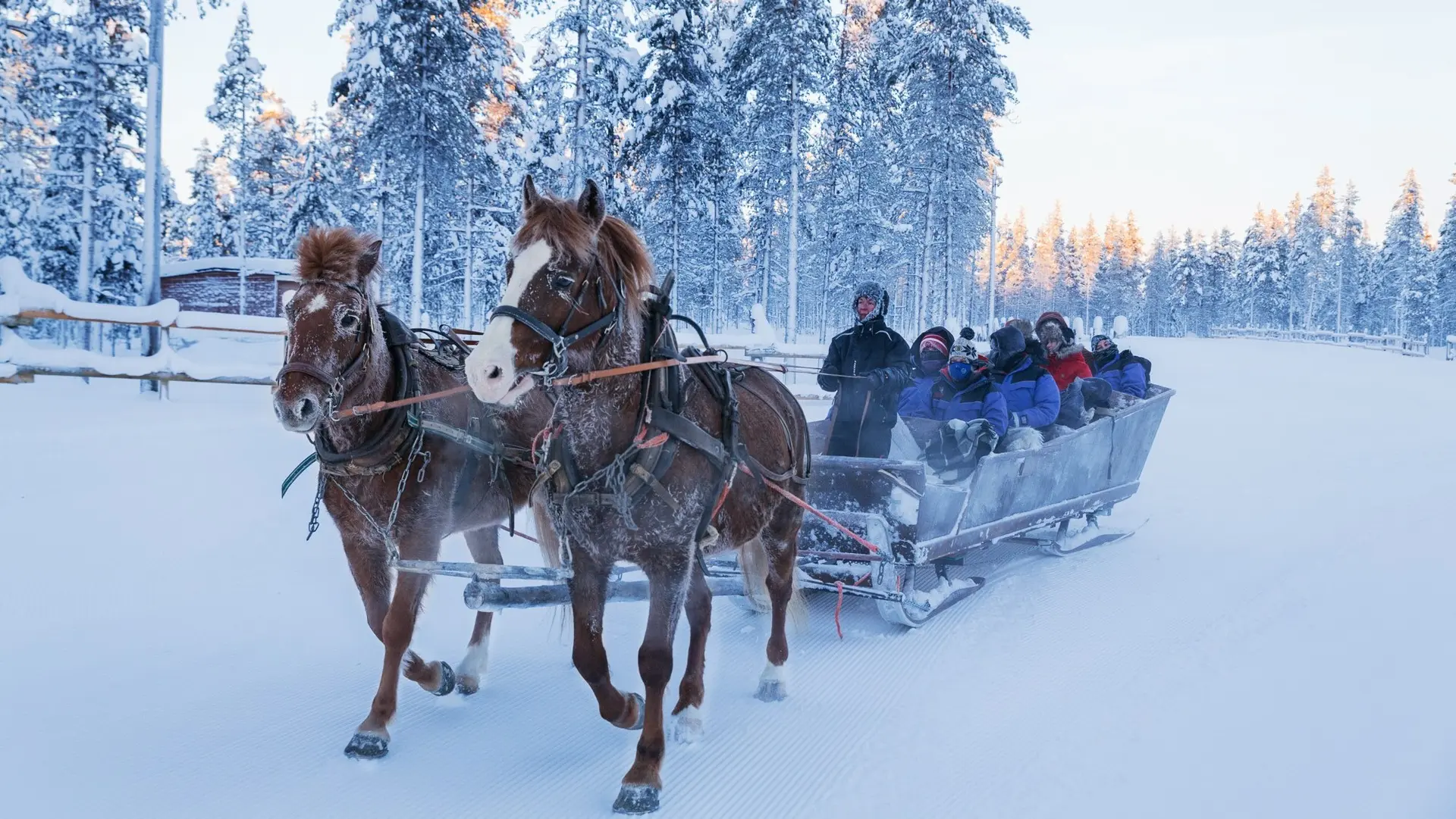 Review of Kakslauttanen Arctic Resort - Igloos and Chalets - 4