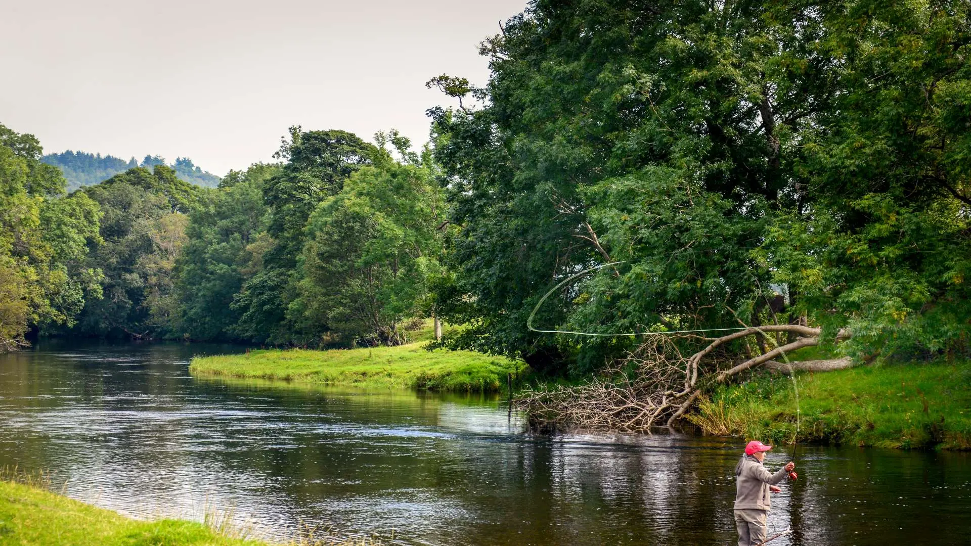 Hotel review Location' - Palé Hall Hotel & Restaurant - 6