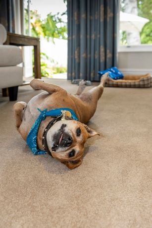 Verified hotel review - The Cellars-Hohenort - 54