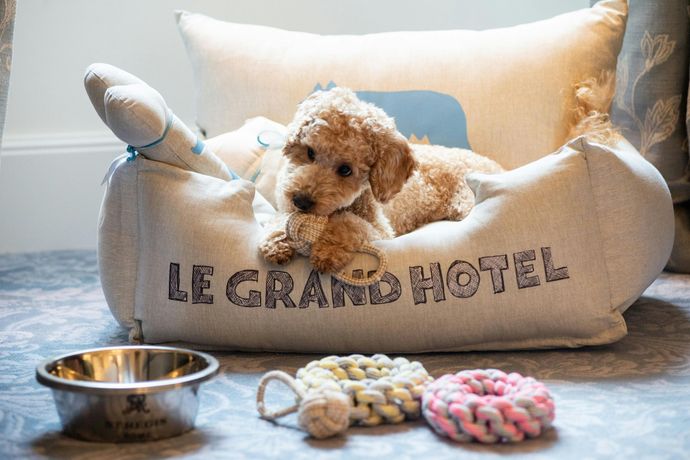 Verified hotel review - The St. Regis Rome - 38