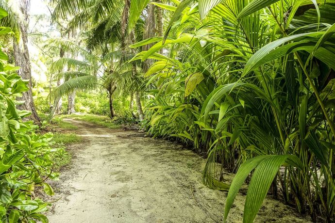 Verified hotel review - Denis Private Island Seychelles - 25