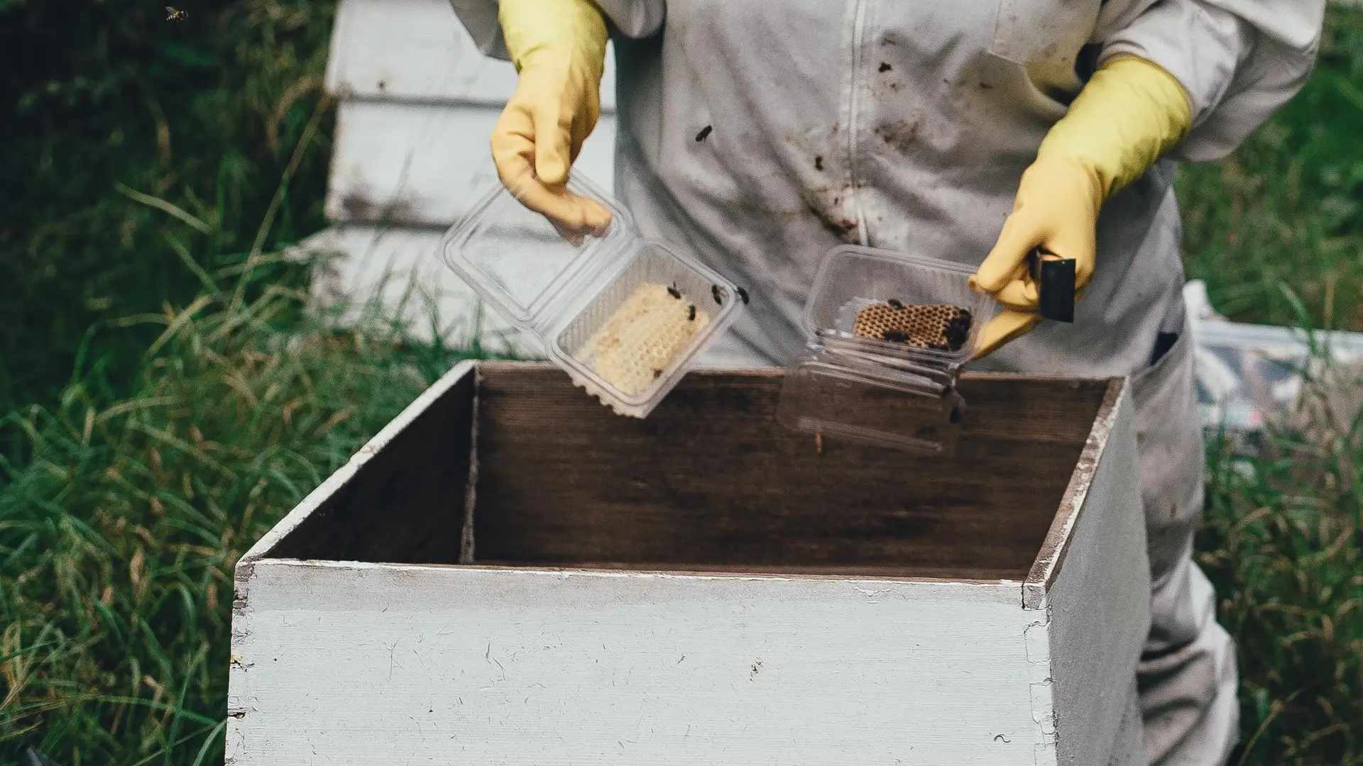 Hotel review Sustainability' - The Ritz-Carlton, Berlin - 0