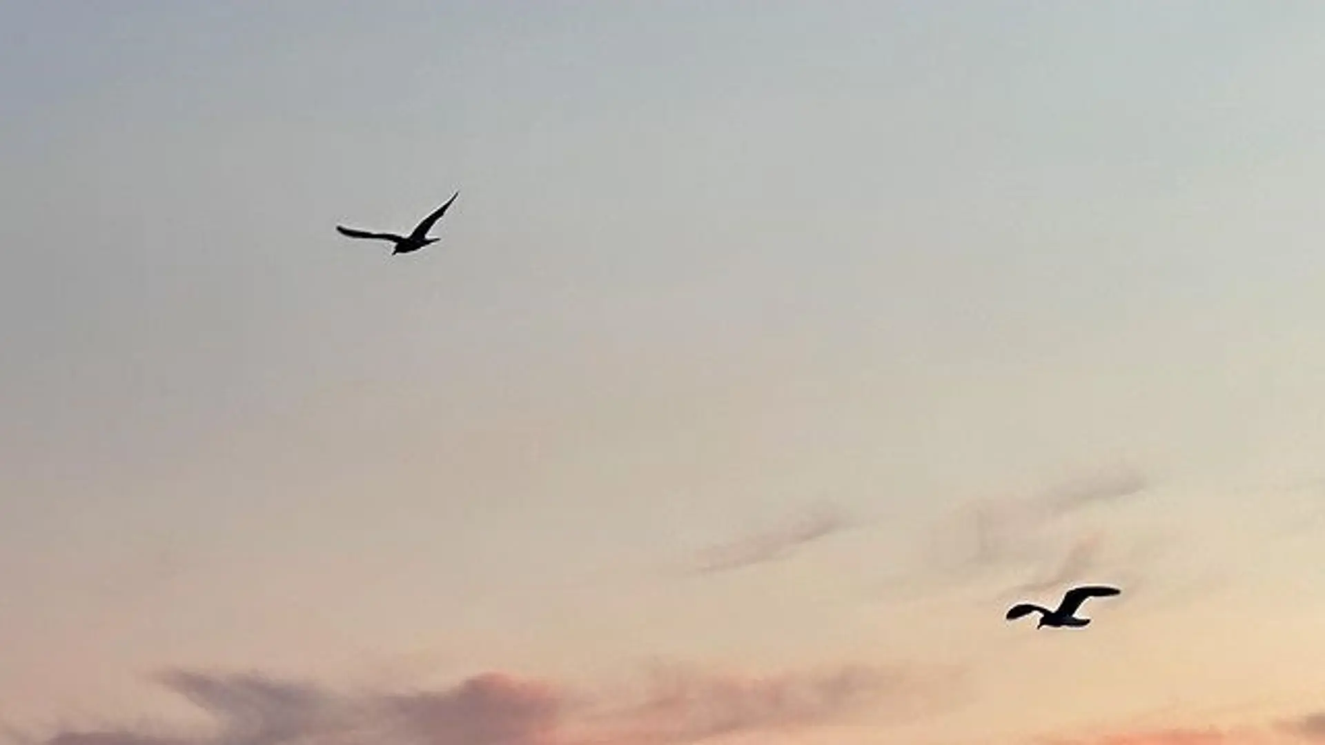 Hotel review Sustainability' - Prince Akatoki London - 1