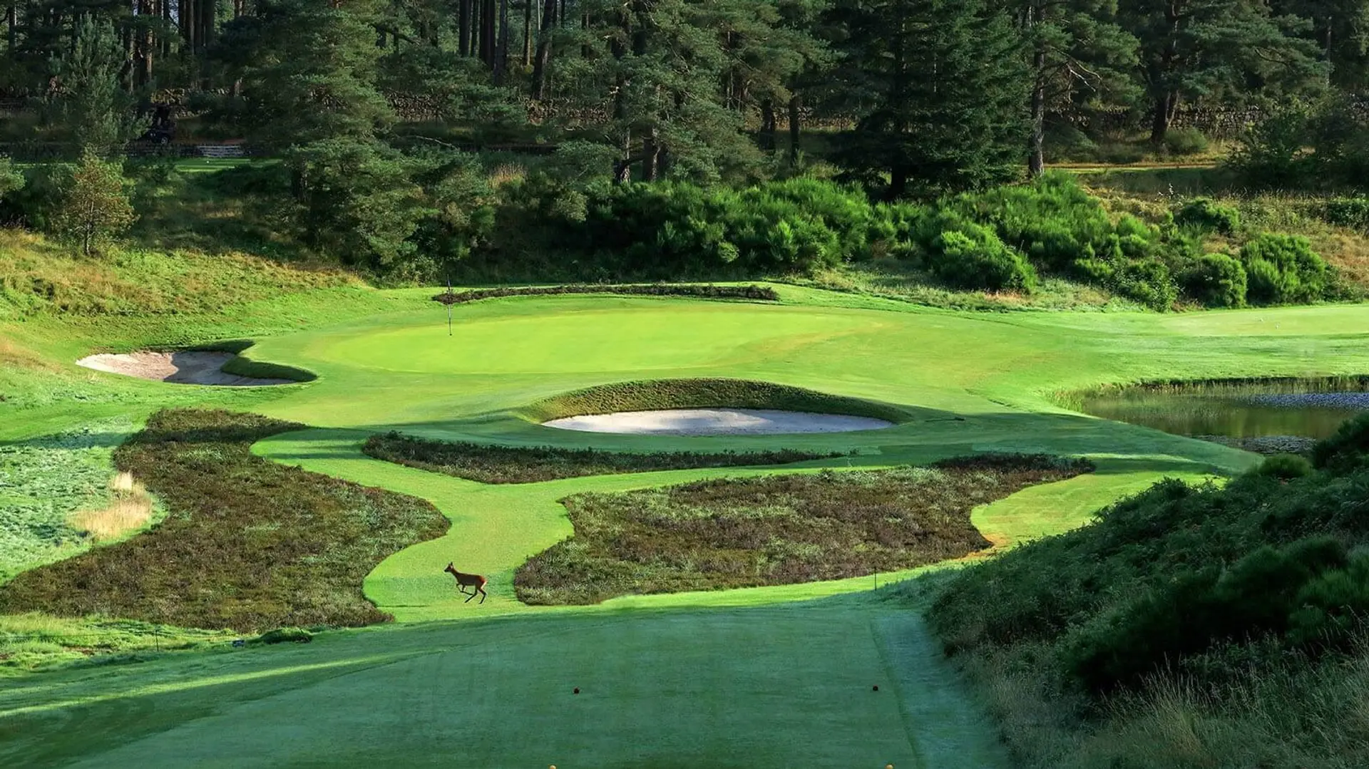 Review of The Gleneagles Hotel