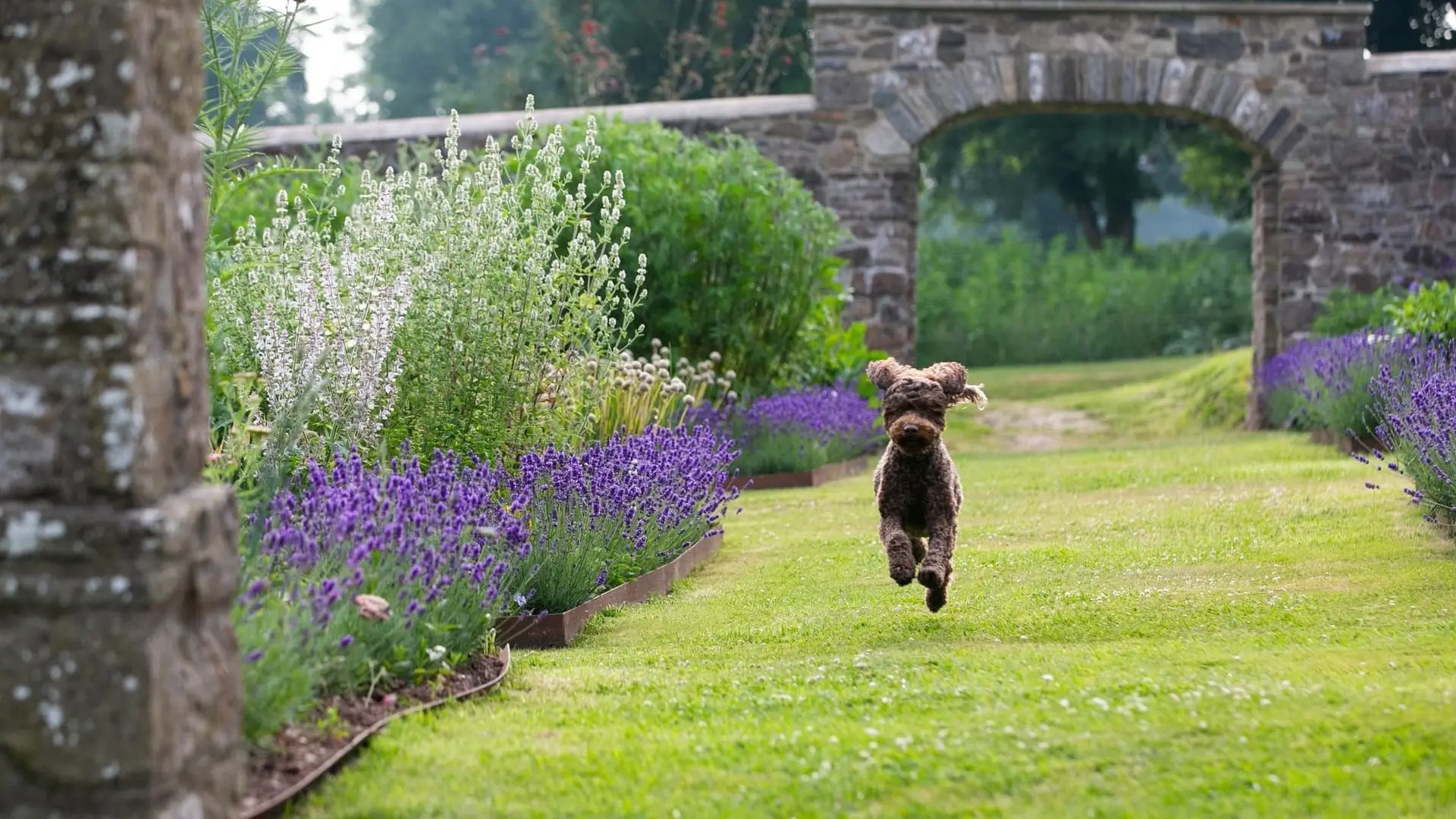 Hotel review Service & Facilities' - Grove of Narberth - 2