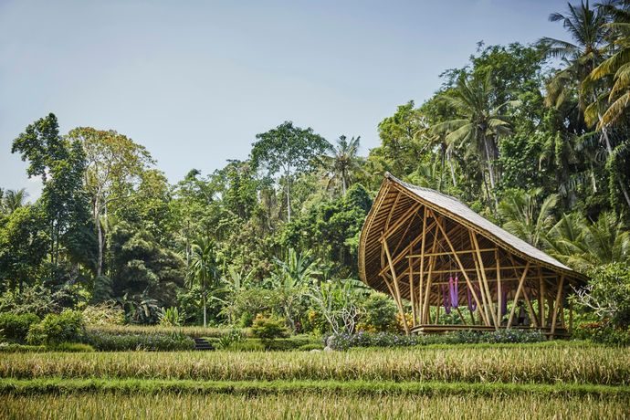 Verified hotel review - Four Seasons Resort Bali at Sayan - 49