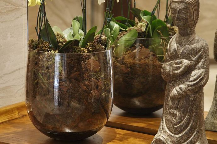 Verified hotel review - Miramar Hotel by Windsor - 12