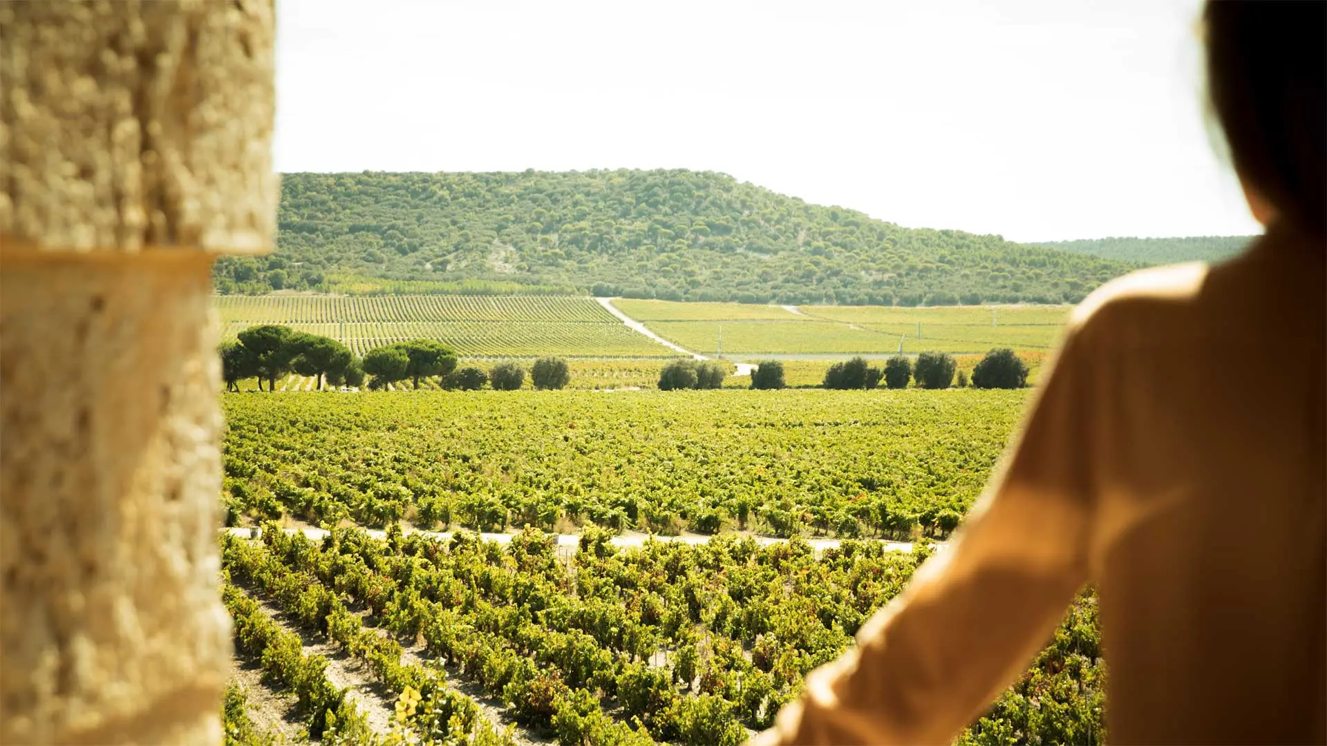 Hotel review Location' - Abadia Retuerta LeDomaine - 2
