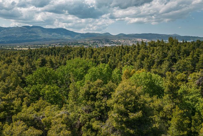 Verified hotel review - Life Gallery Athens - 5