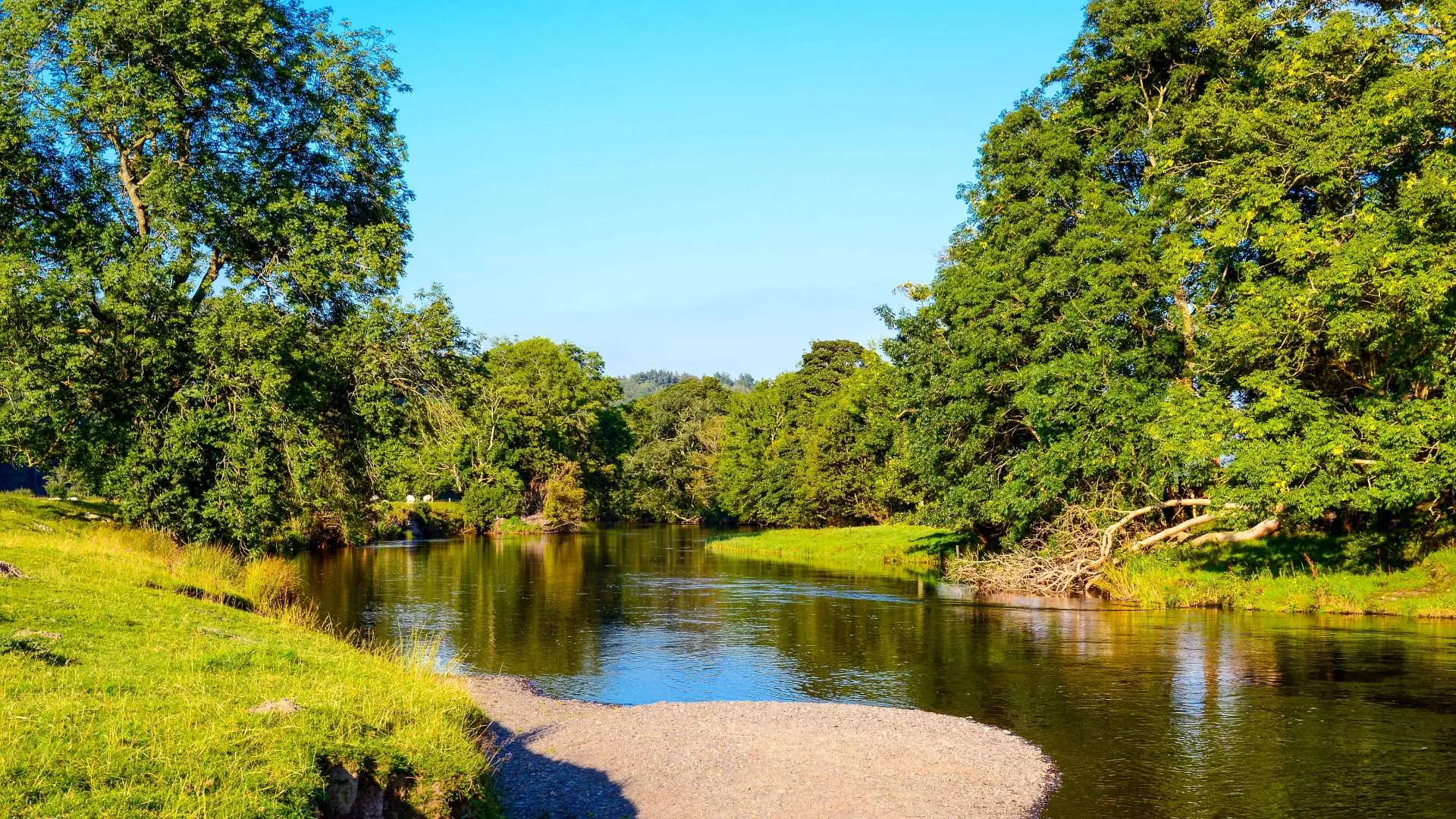 Hotel review Sustainability' - Palé Hall Hotel & Restaurant - 0