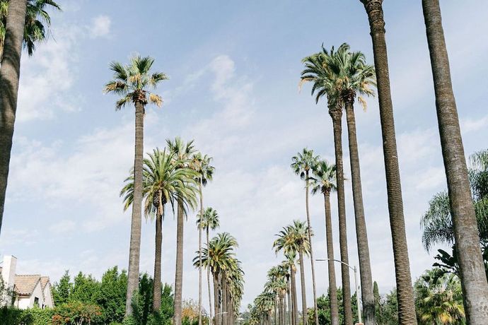 Verified hotel review - The Peninsula Beverly Hills - 42