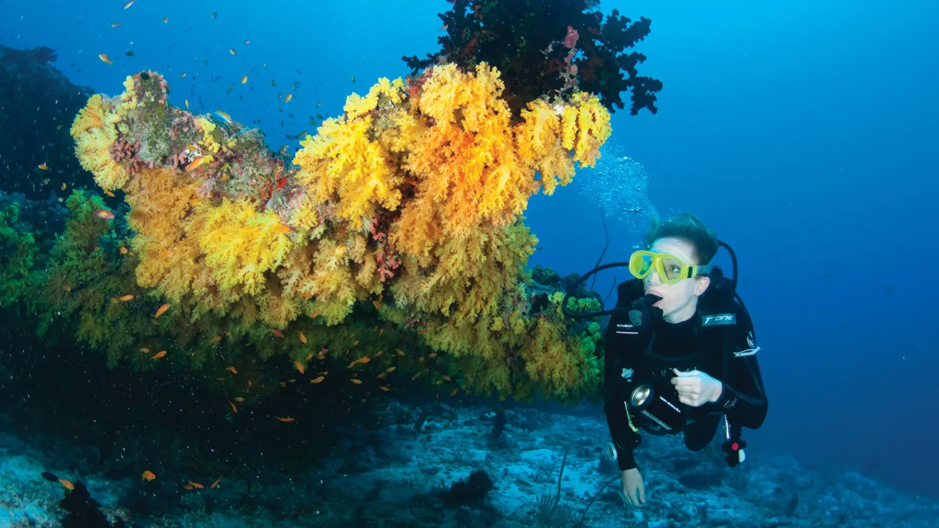 Review of Four Seasons Explorer Maldives - 9